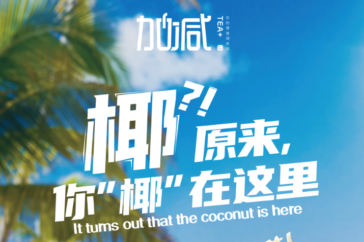 彩名堂椰子系列新品火爆上市